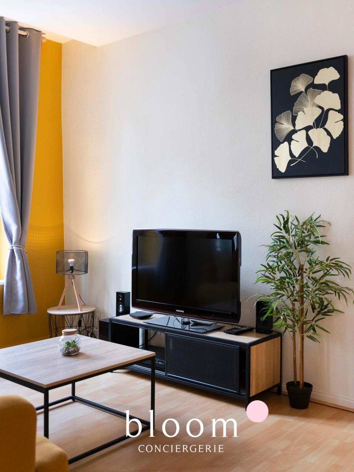 Le Prestige Stanislas 65M2 Tout Equipe Appartement Nancy